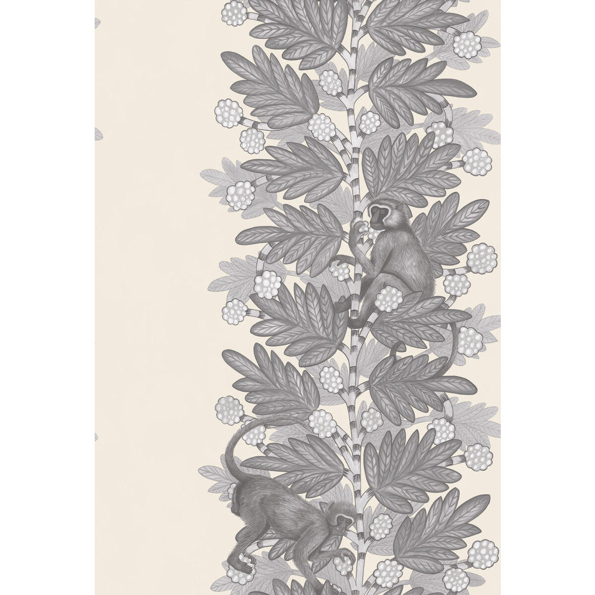 Acacia-Grey &amp; White