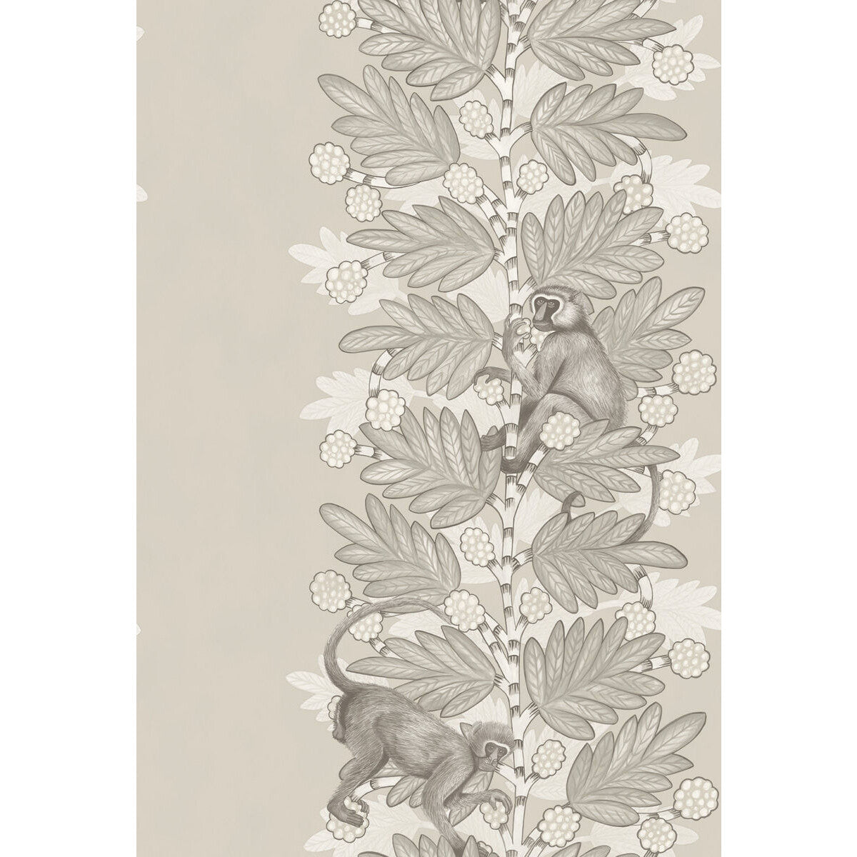Acacia-Stone &amp; White Berries