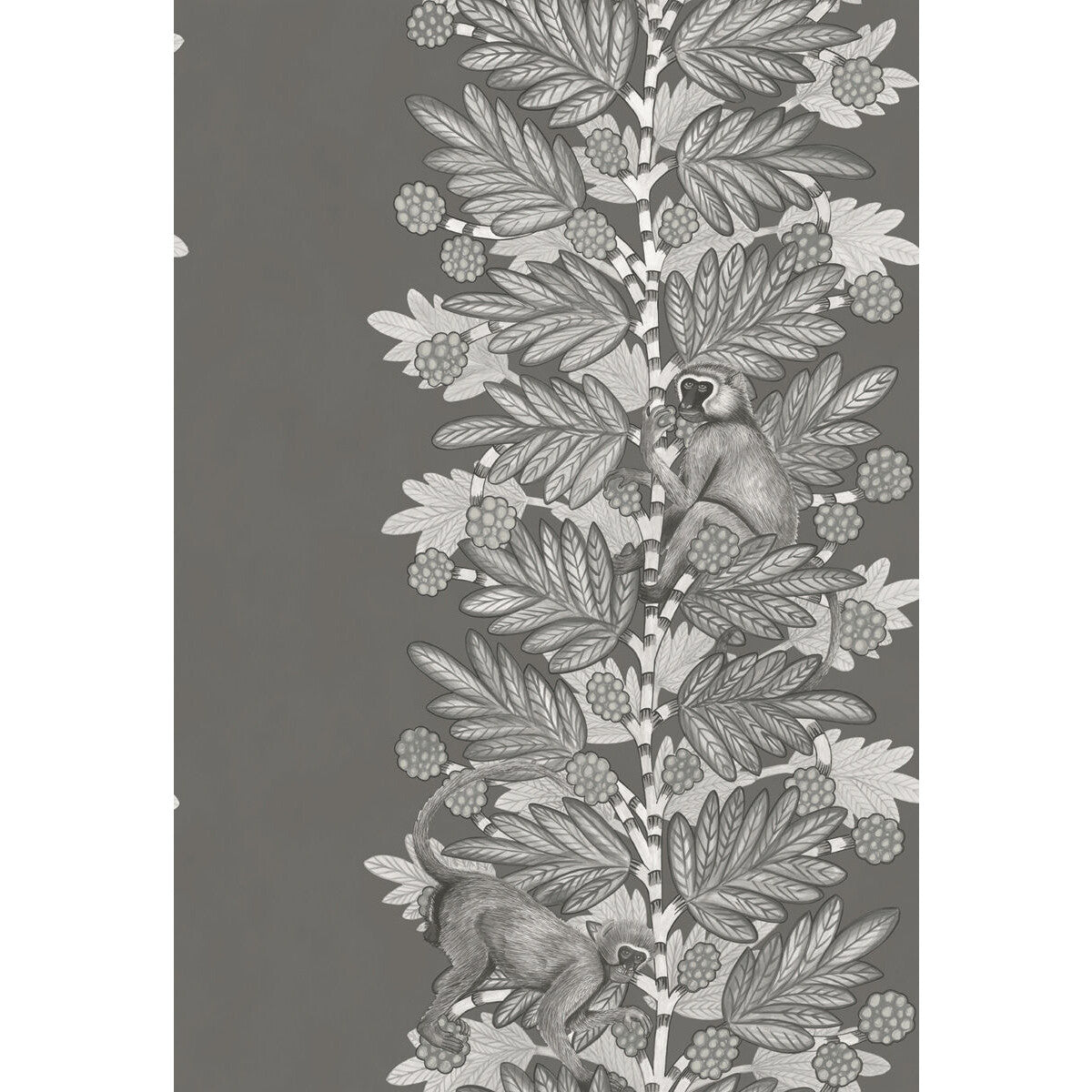 Acacia-Charcoal &amp; Silver