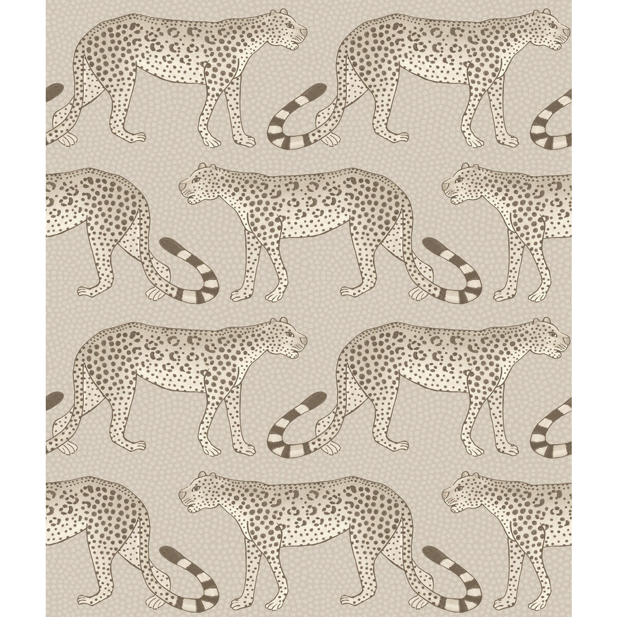 Leopard Walk-Stone