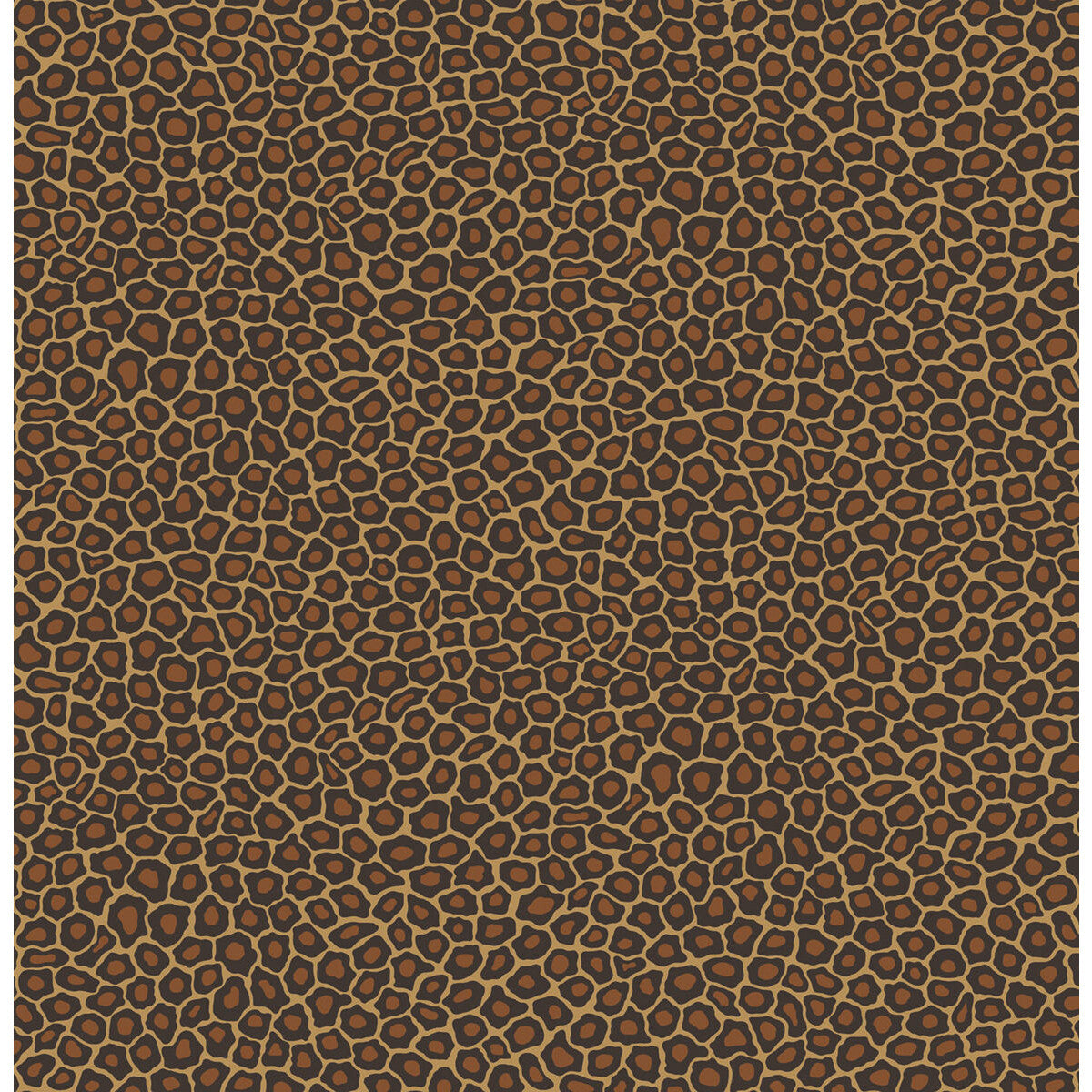 Senzo Spot-True Leopard