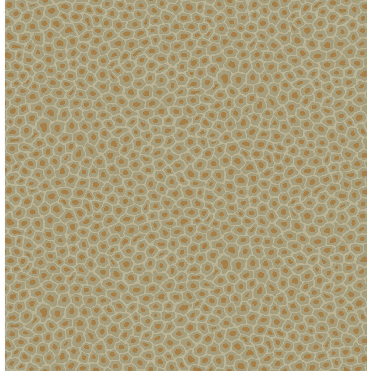 Senzo Spot-Olive