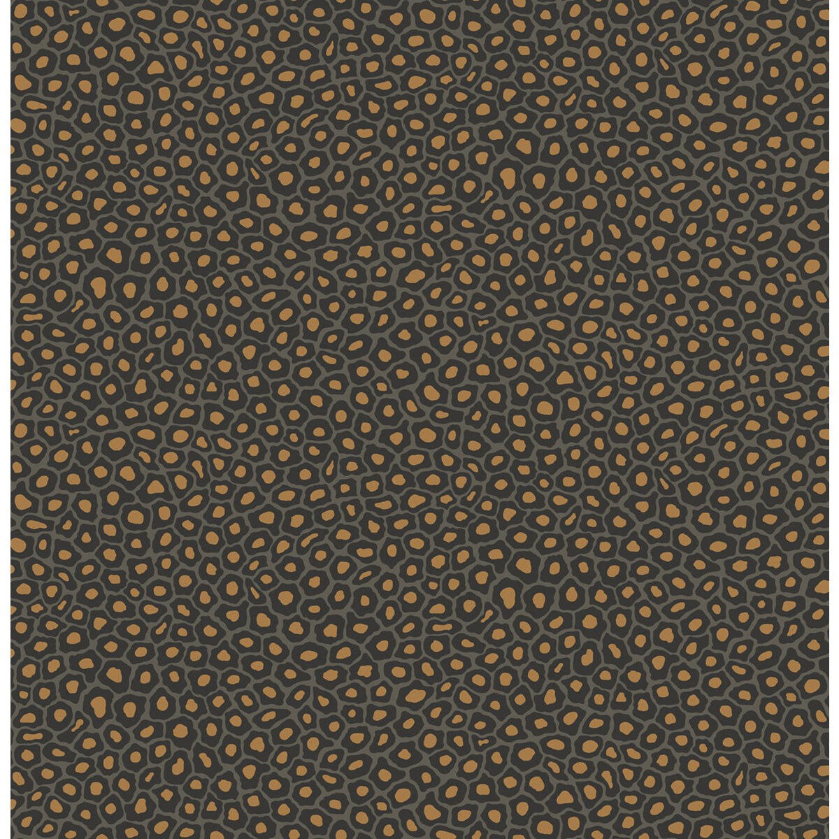Senzo Spot-Charcoal