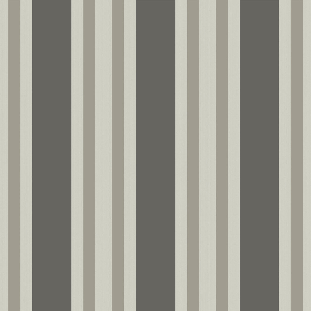 Polo Stripe-Black/White