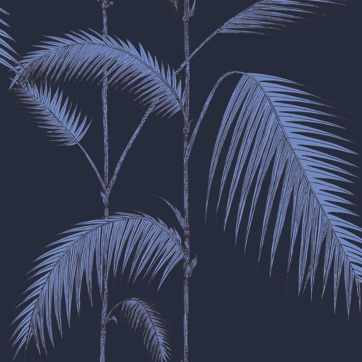 Palm Leaves-Ink
