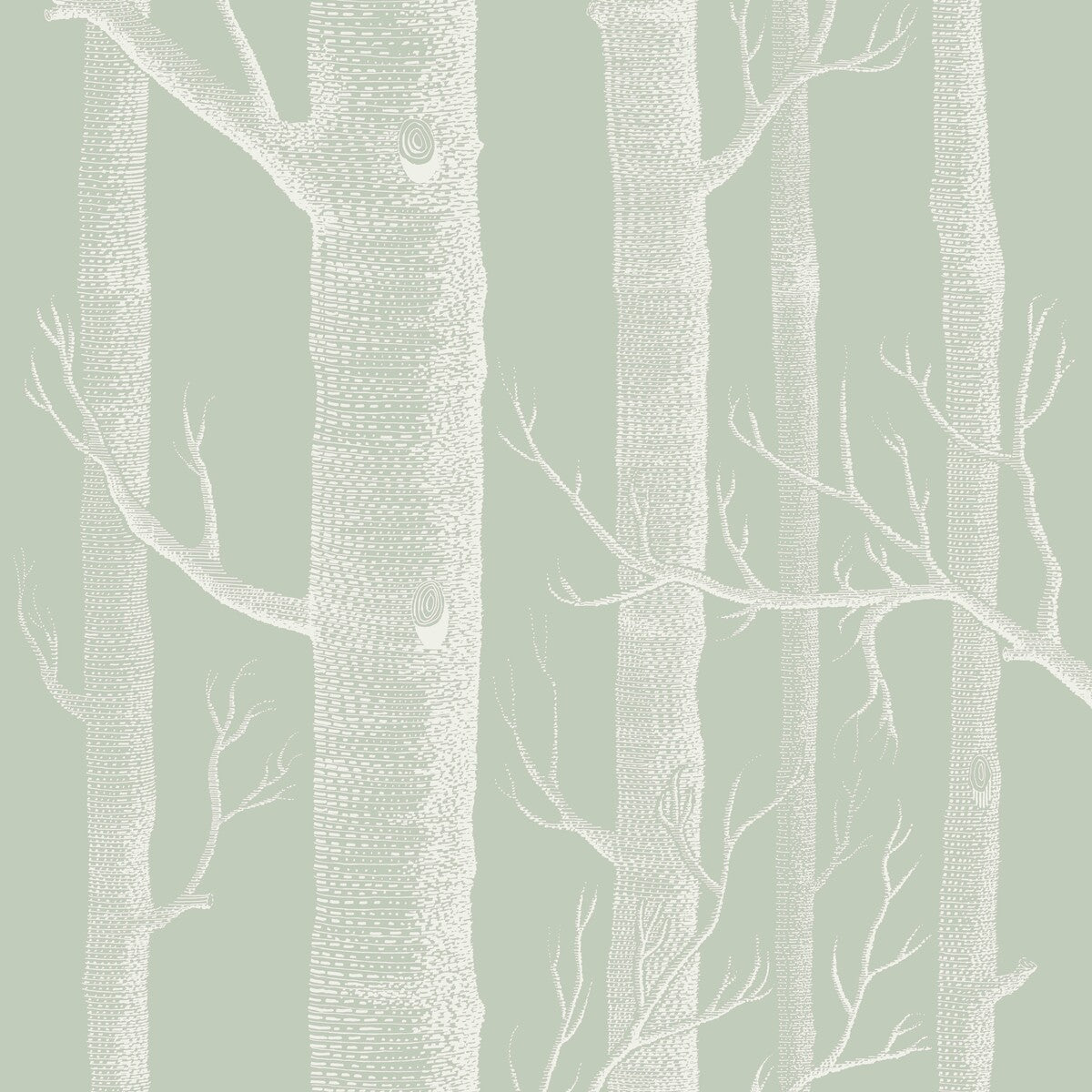Woods-Old Olive