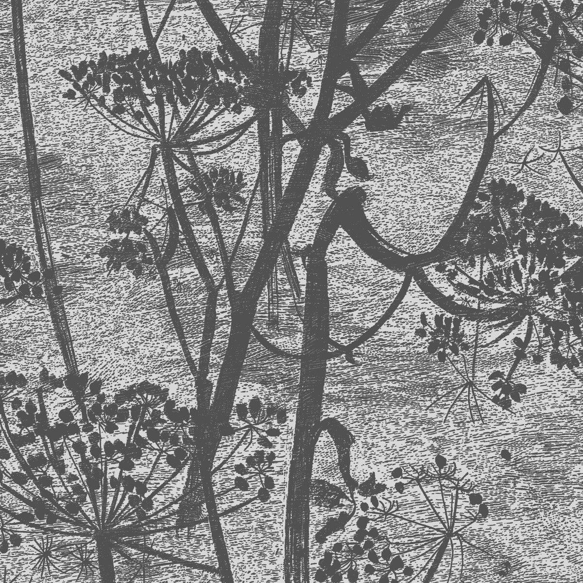 Cow Parsley-Charcoal
