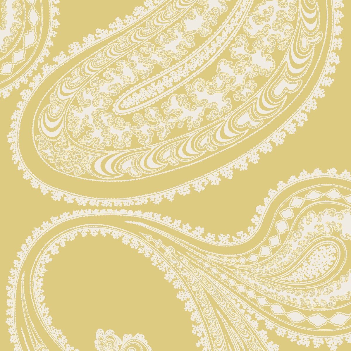 Rajapur Flock-Yellow/White