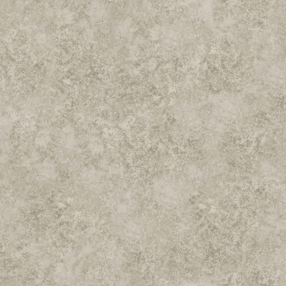 Patina Haze-Warm Gilver