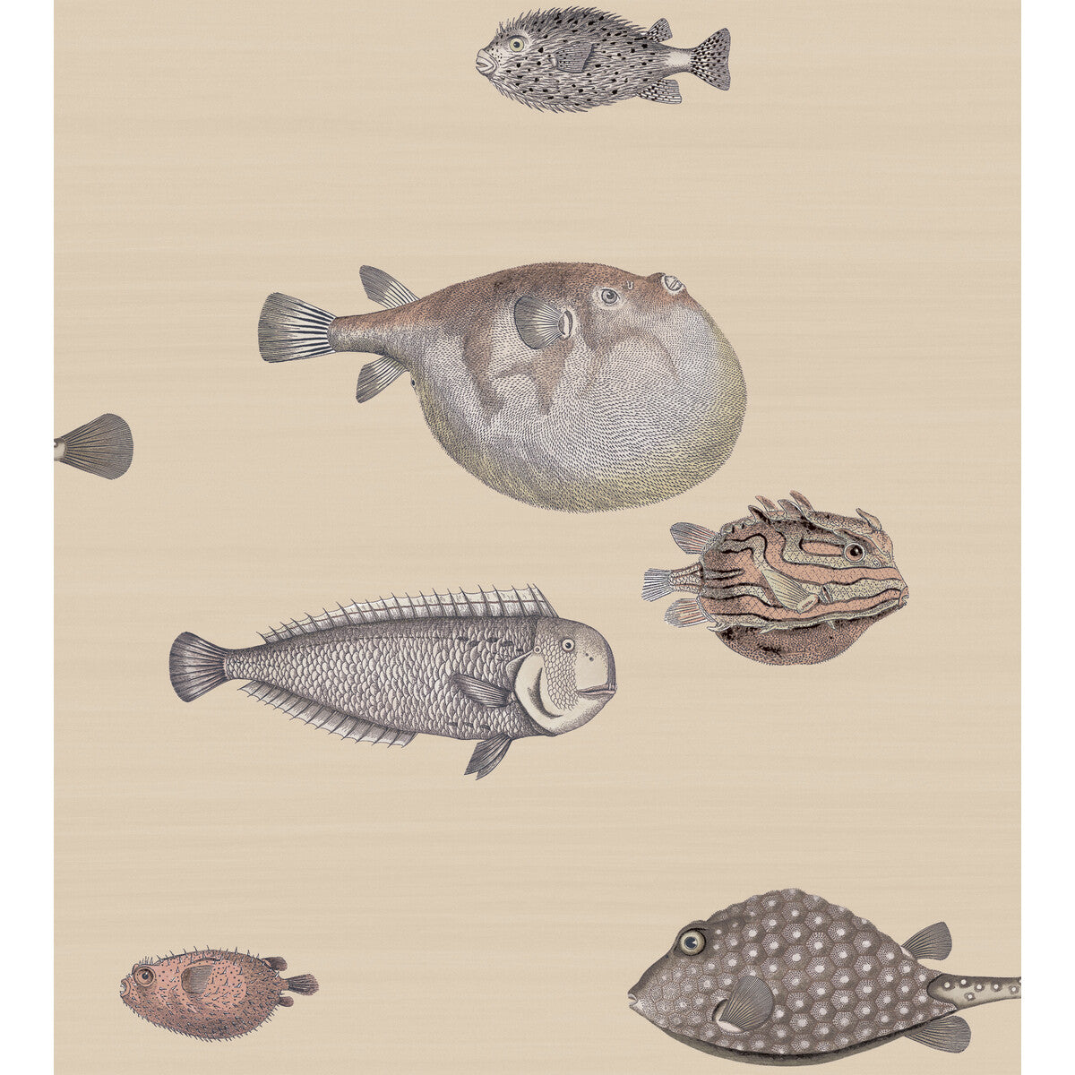 Acquario-Taupe