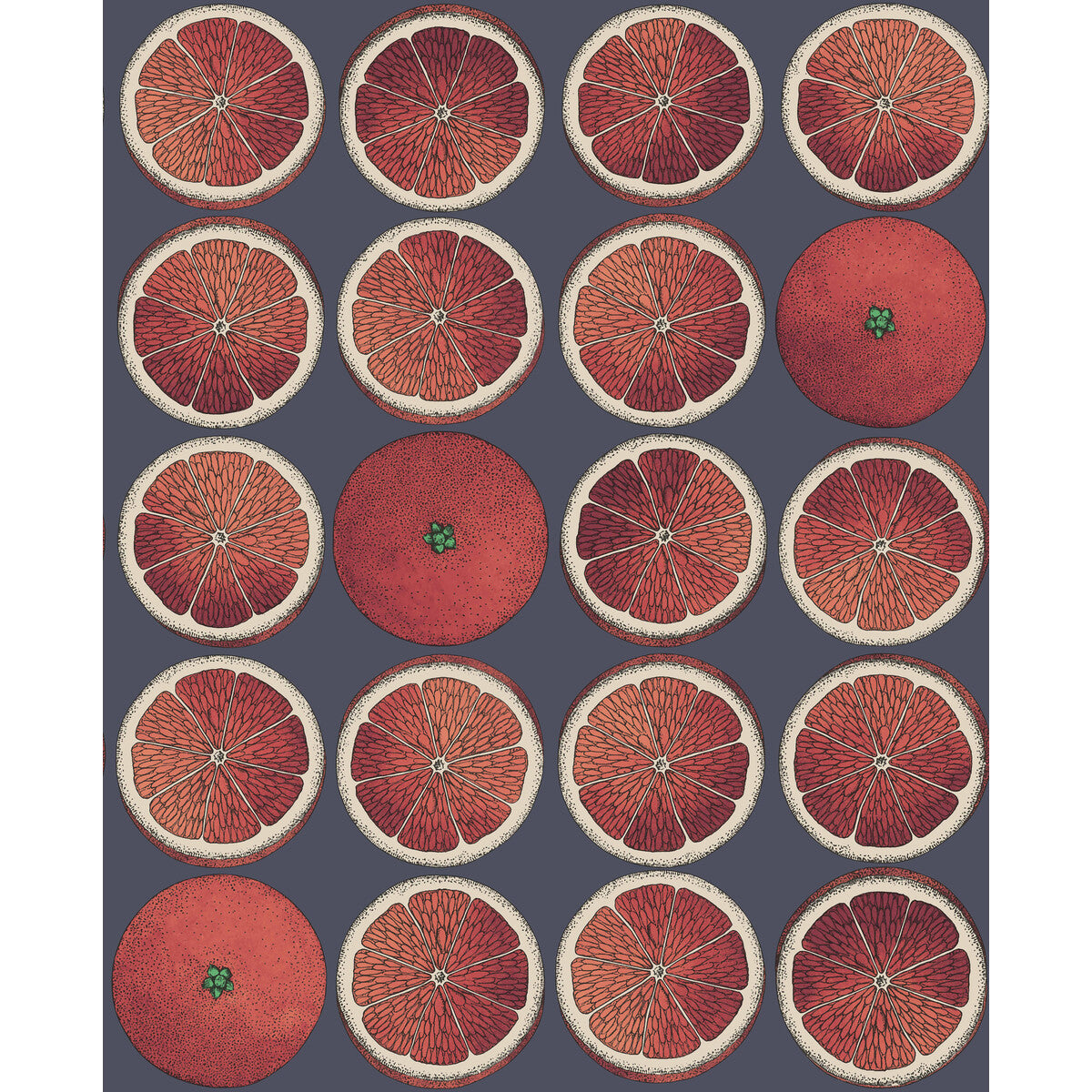 Arance-Blood Orange/Ink