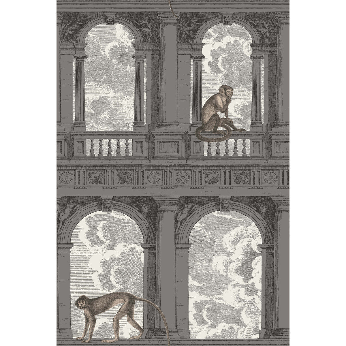 Procuratie Con Vista-Soot &amp; Snow