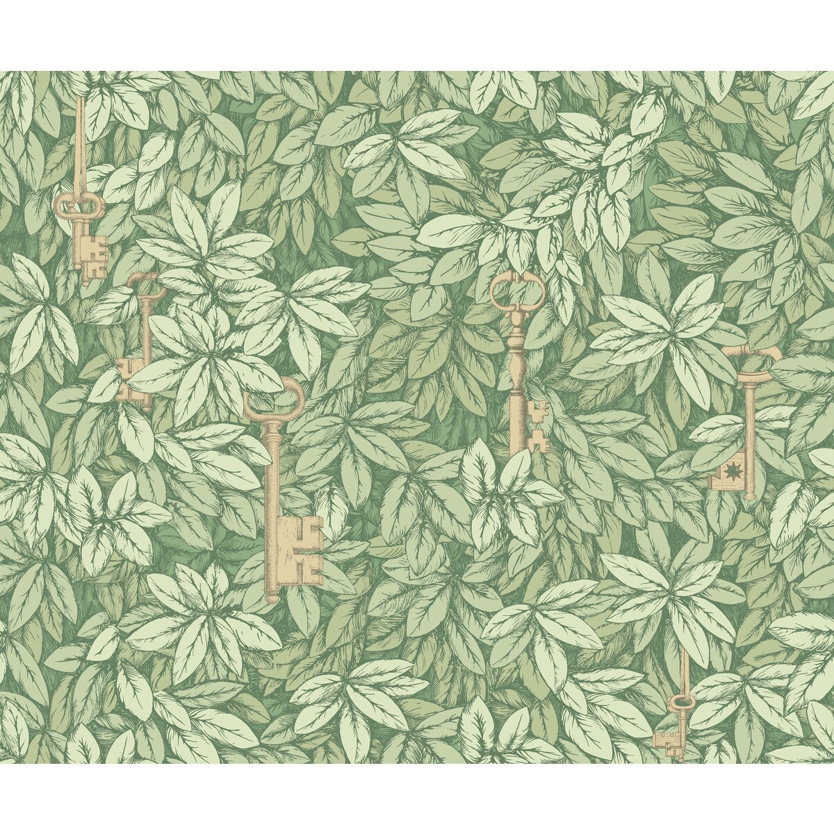 Chiavi Segrete-Olive