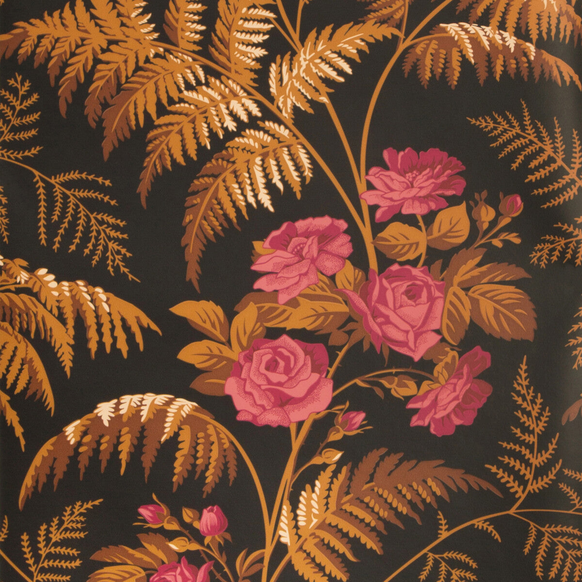 Rose-Cerise/B Orange/Black