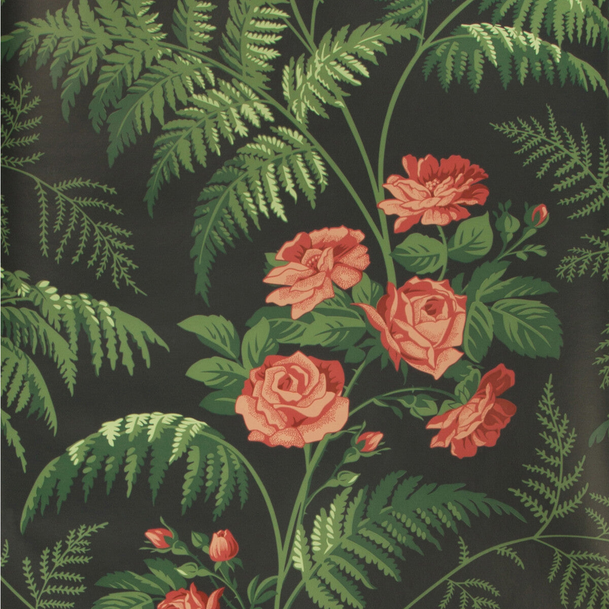 Rose-Red/L Green/Charcoal