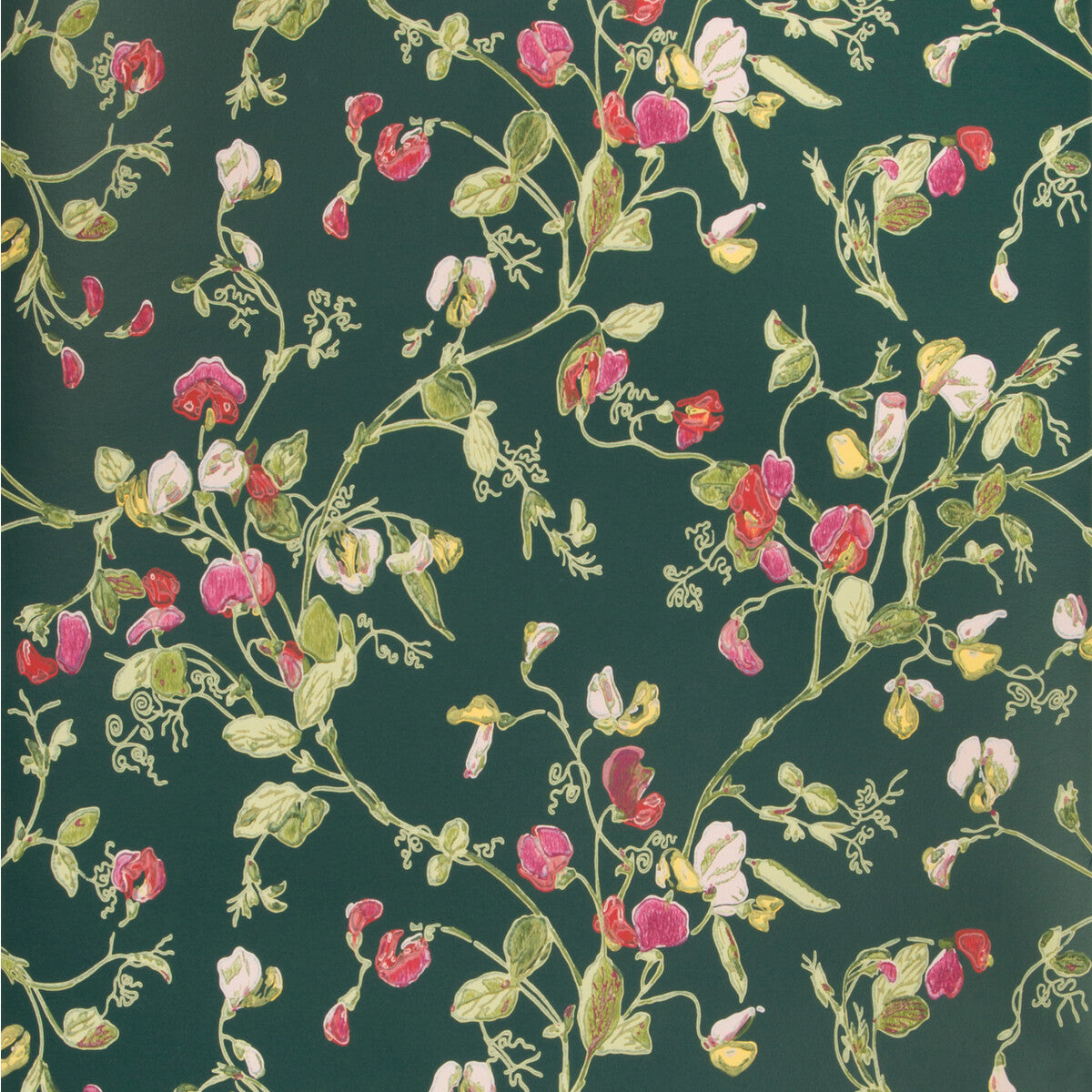 Sweet Pea-Cerise/Magen/Vrdn