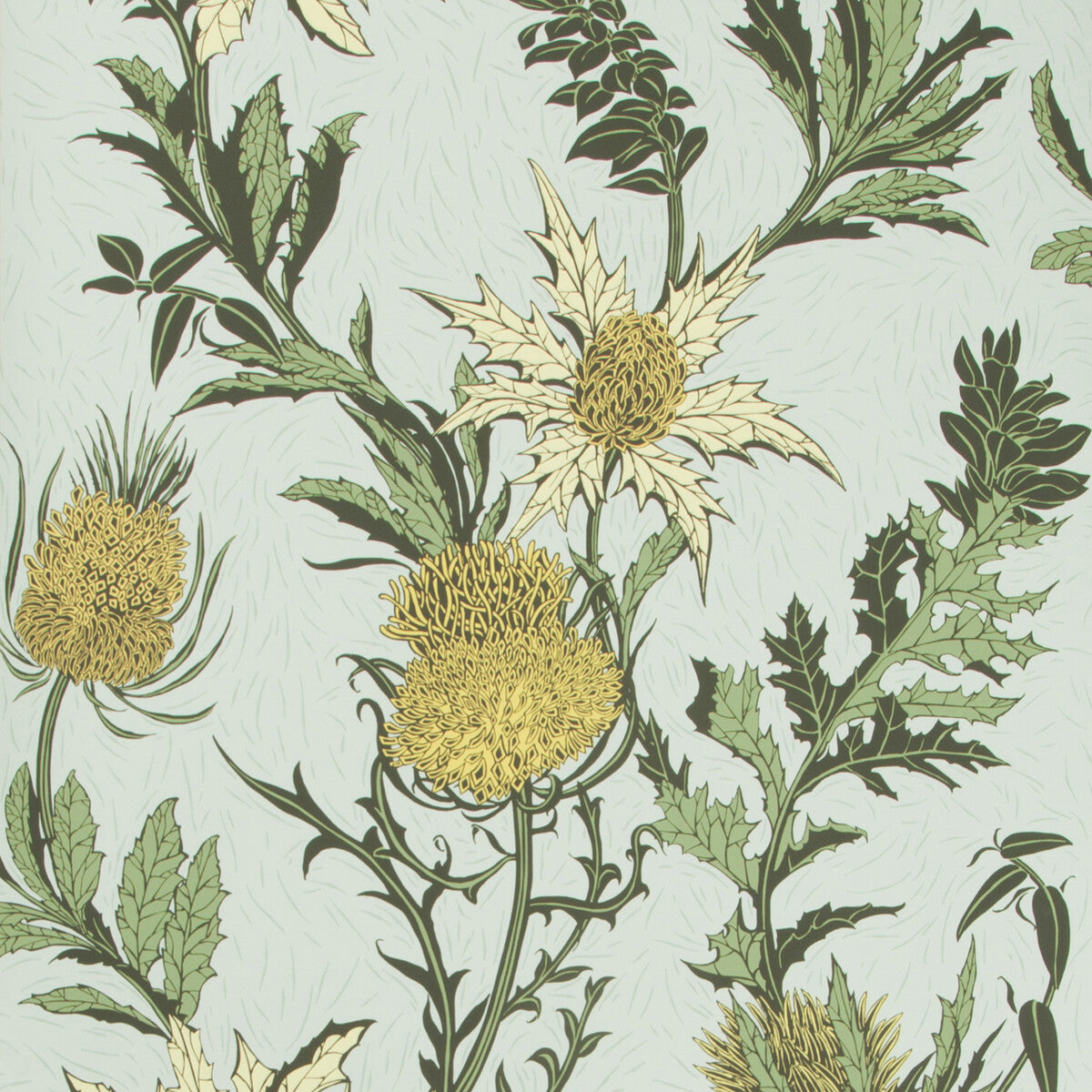 Thistle-Lemon/Olive/D Egg