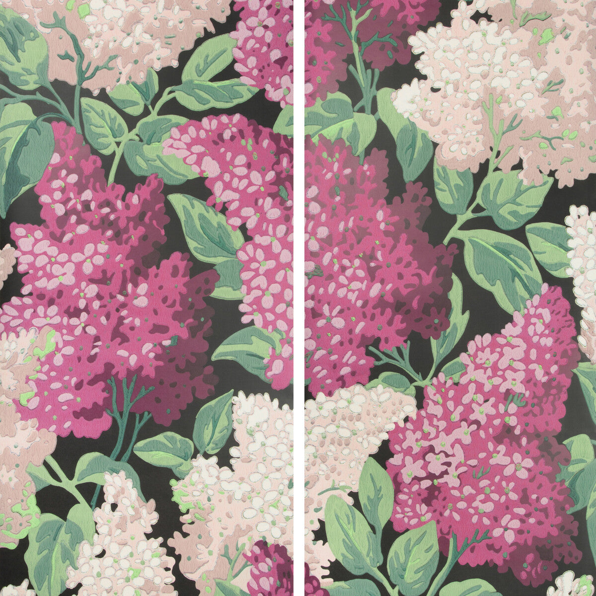 Lilac Grandiflora-M/B/C