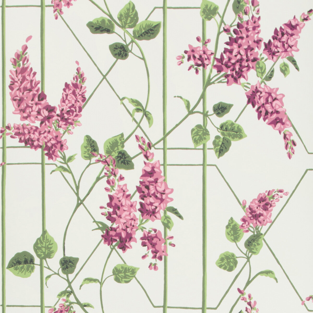 Wisteria-Magenta/Green/Wh