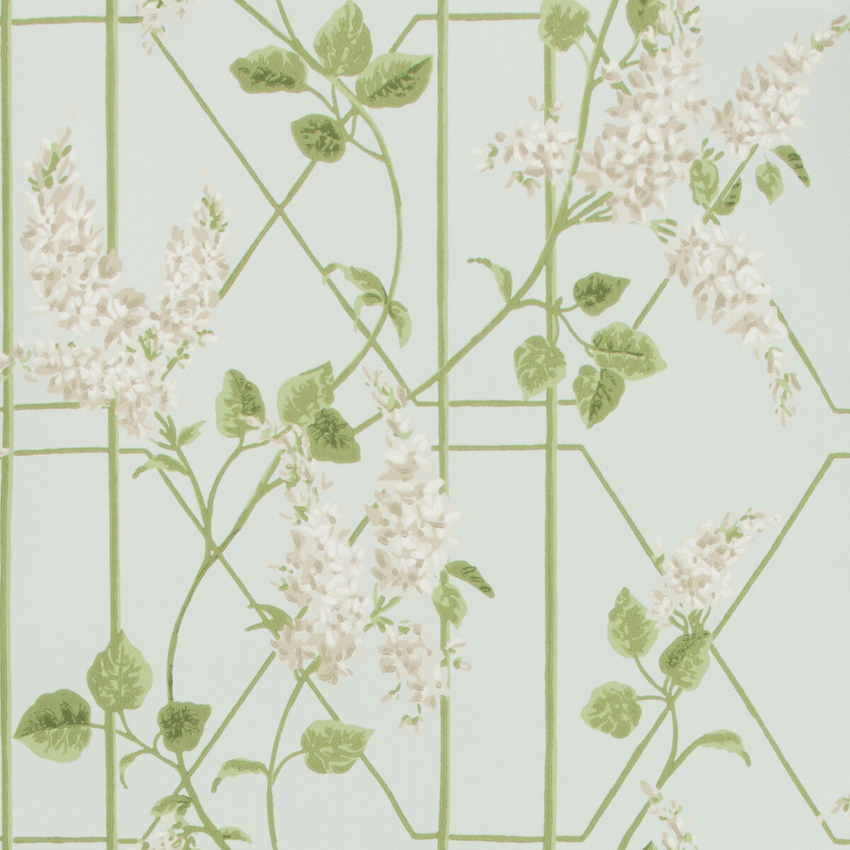 Wisteria-Stone/Olive/D Egg