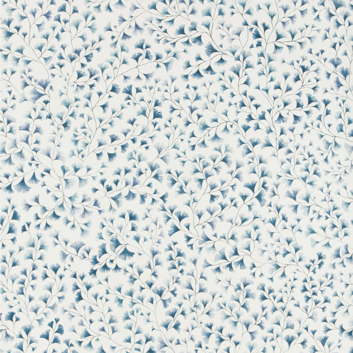 Maidenhair-China Blue