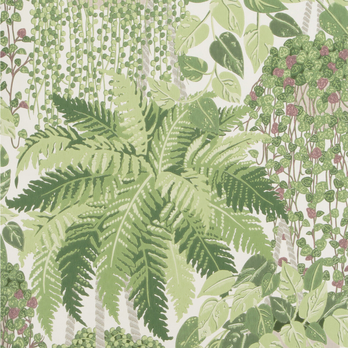 Fern-Leaf Green And Olive