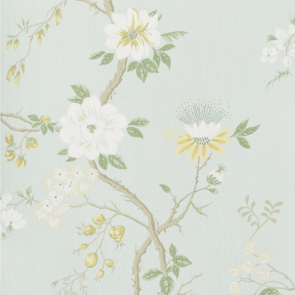 Camellia-Lemon/Sage/Prm Blu
