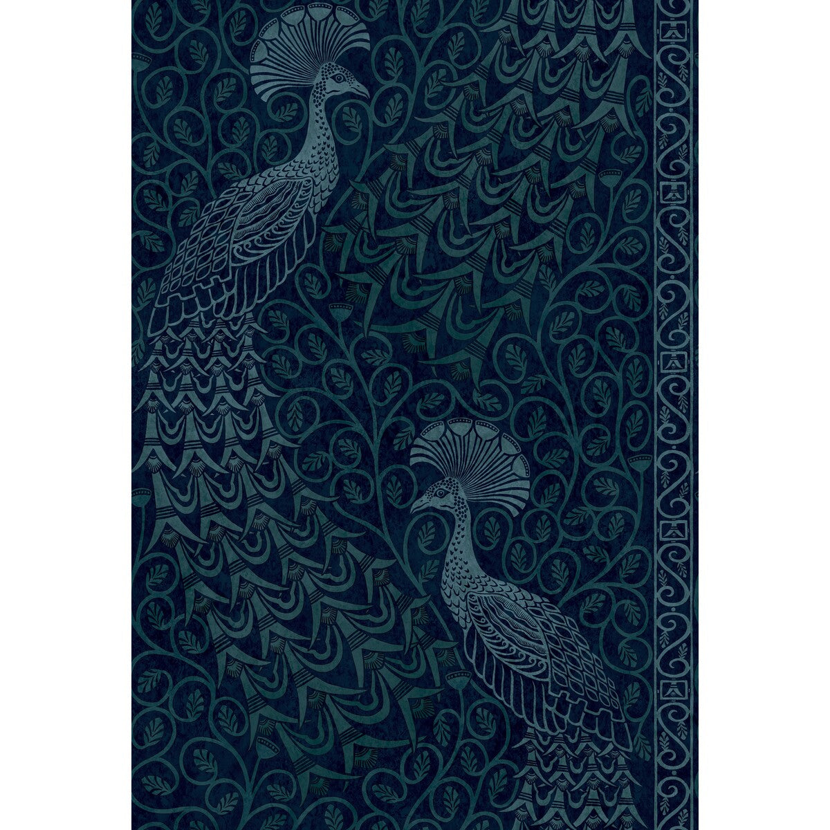 Pavo Parade-M Petrol/Ink