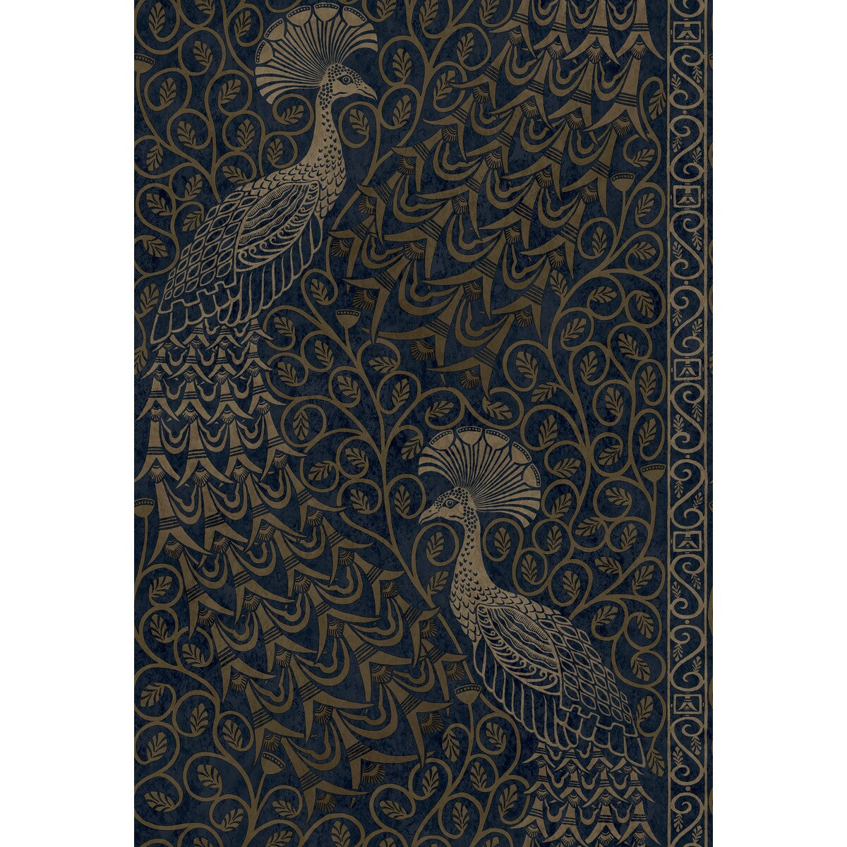 Pavo Parade-M Bronze/Mid