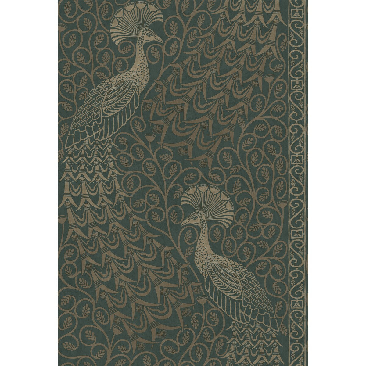 Pavo Parade-Mgilver/Green