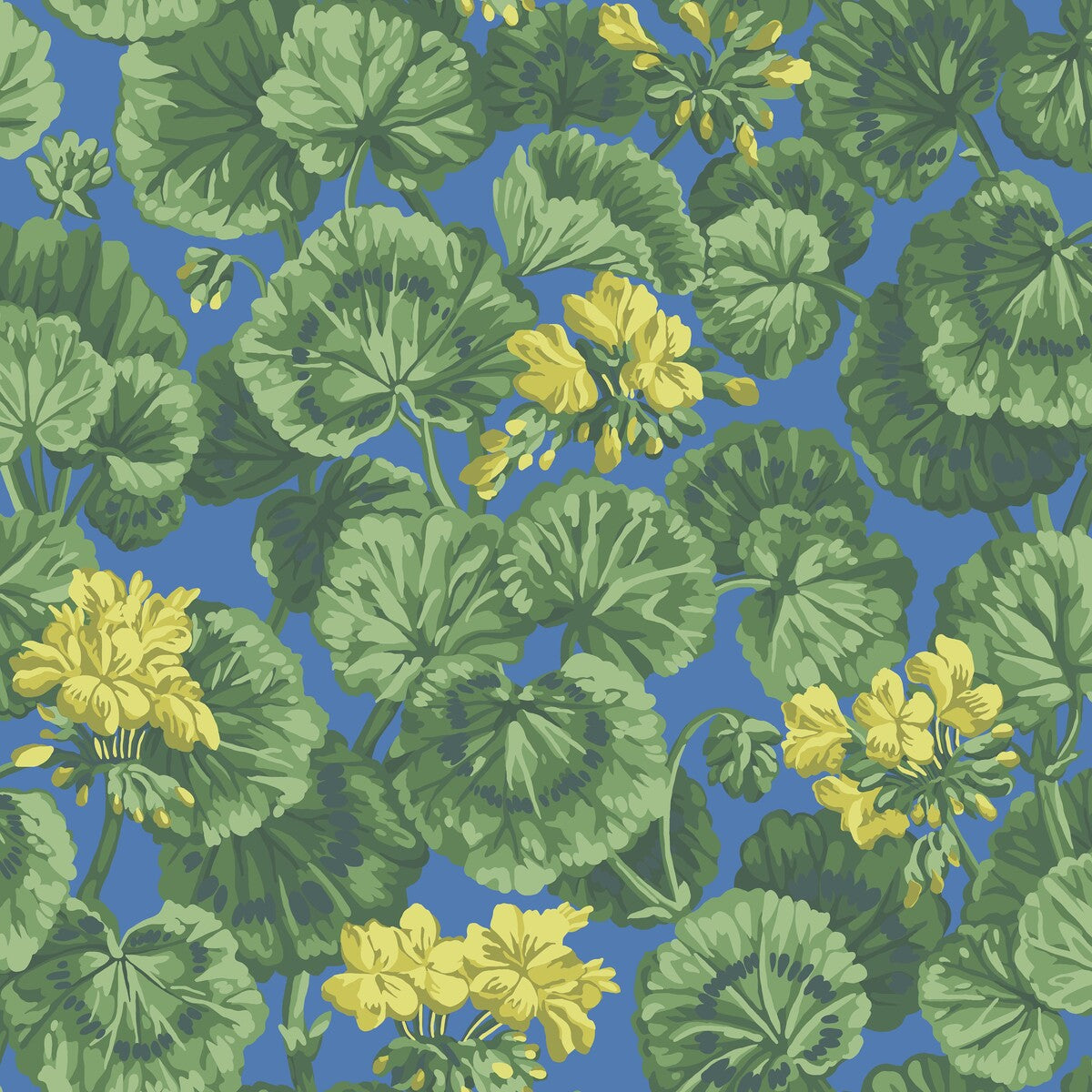 Geranium-Lemon/Forest Green/Electric Blue