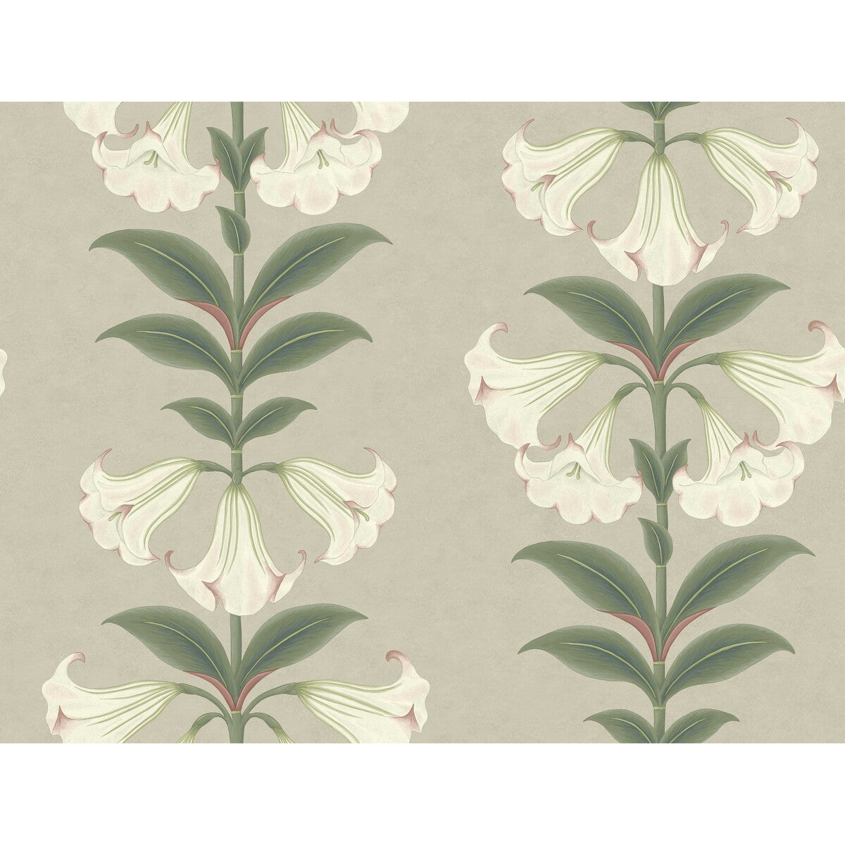 Angels Trumpet-Chalk &amp; Sage On Stone