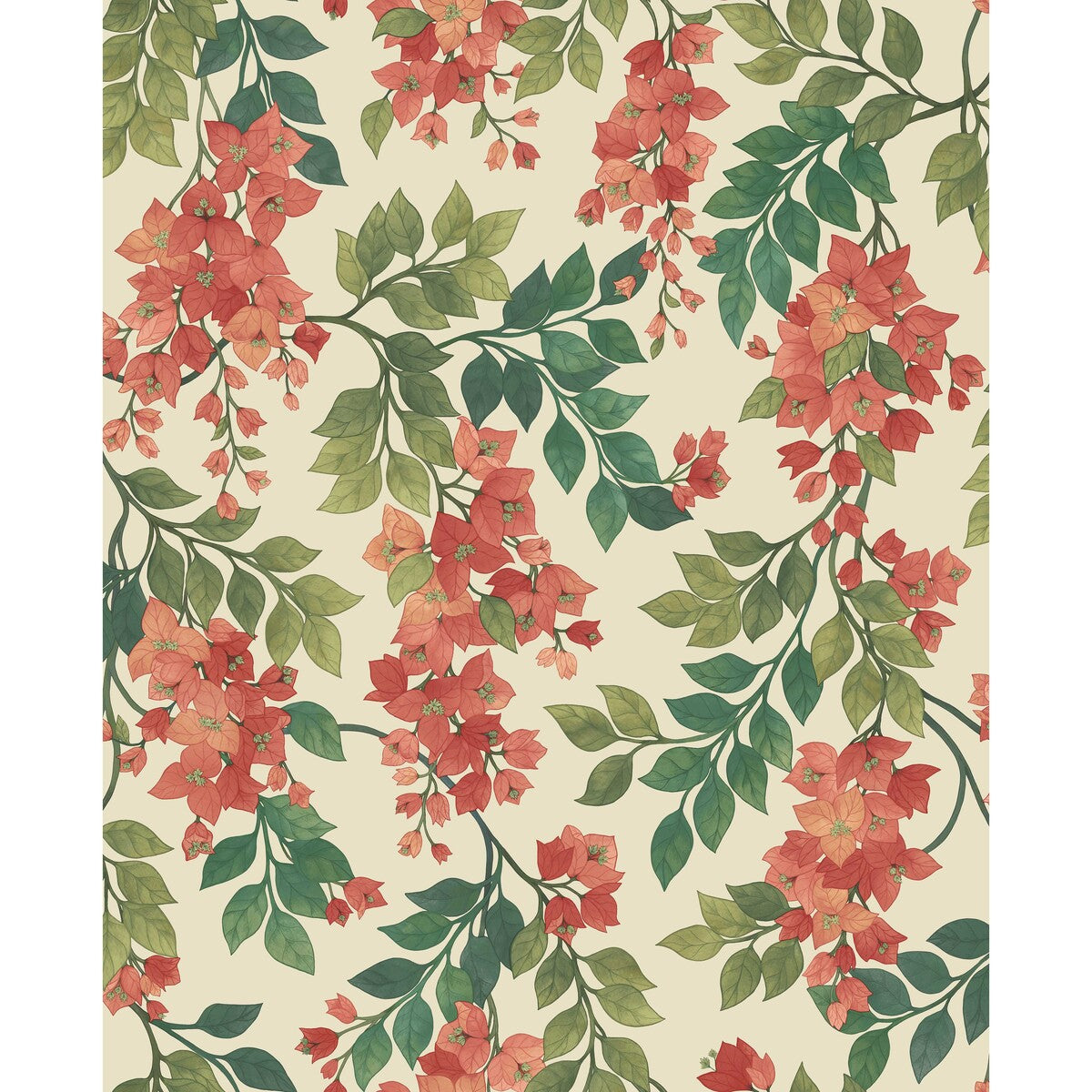Bougainvillea-Rouge/Olive Grn/Emerald/Crm