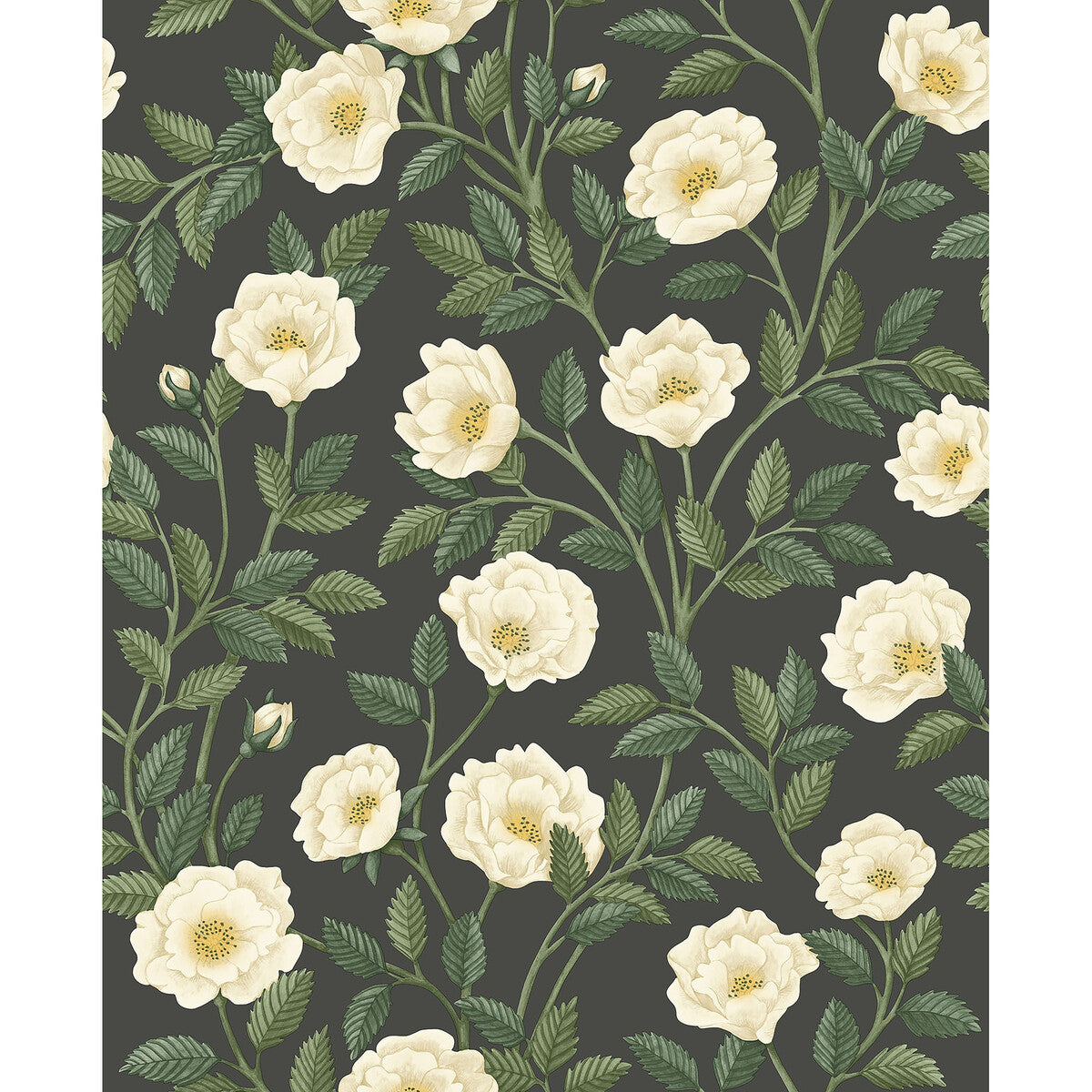 Hampton Roses-Crm&amp;Fgrn/Ch
