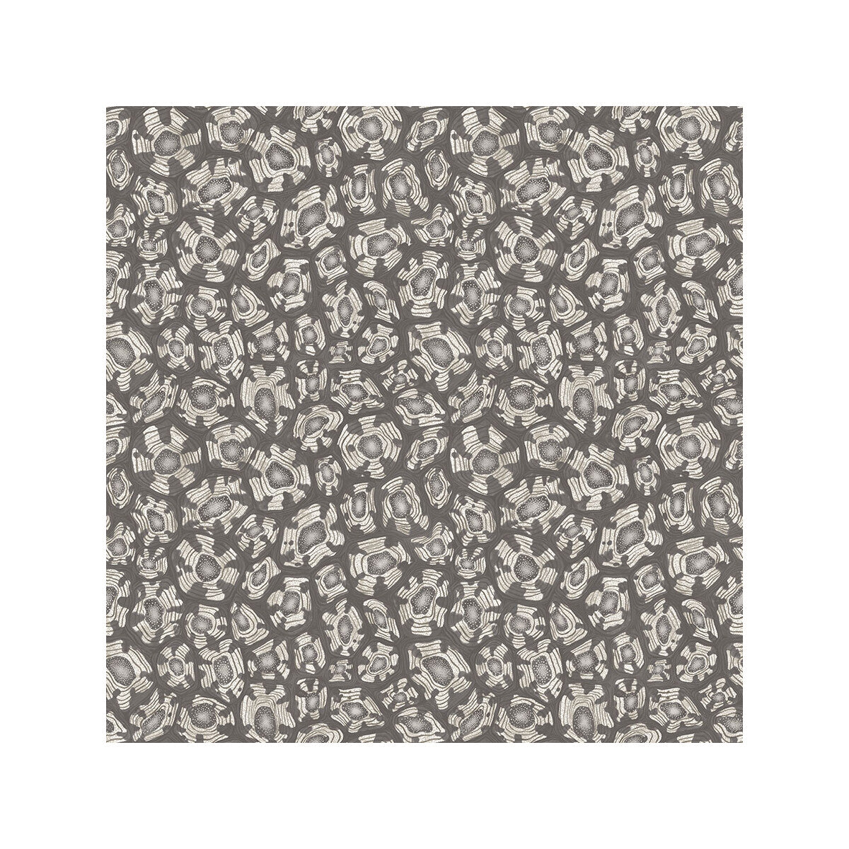 Savanna Shell-Soot