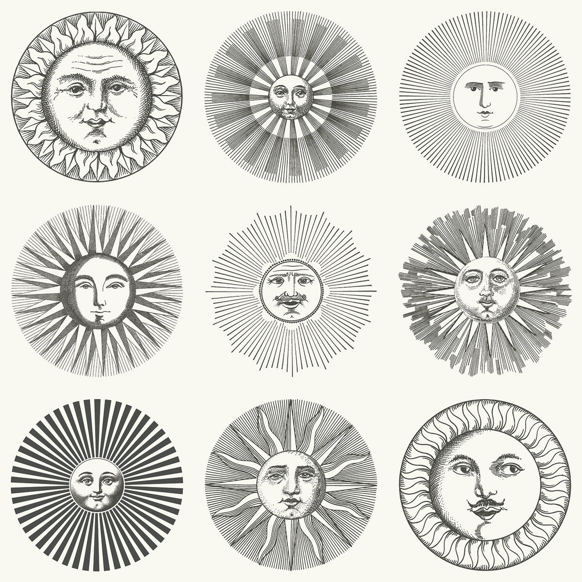 Soli-Black &amp; White