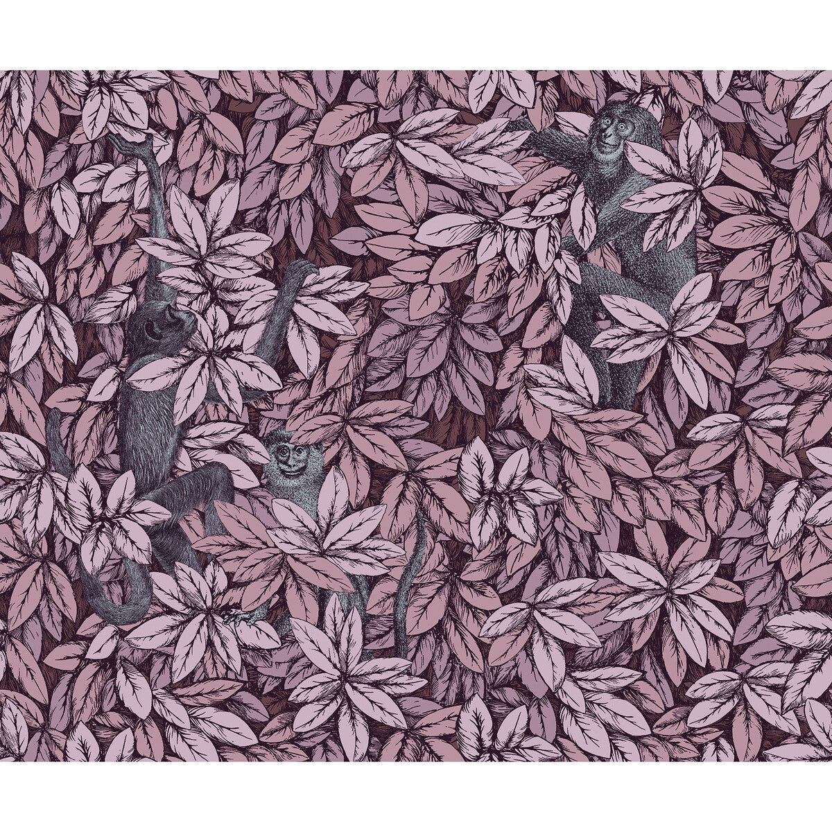 Foglie E Scimmie-Blush