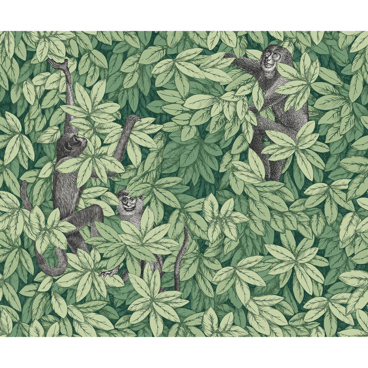 Foglie E Scimmie-Green