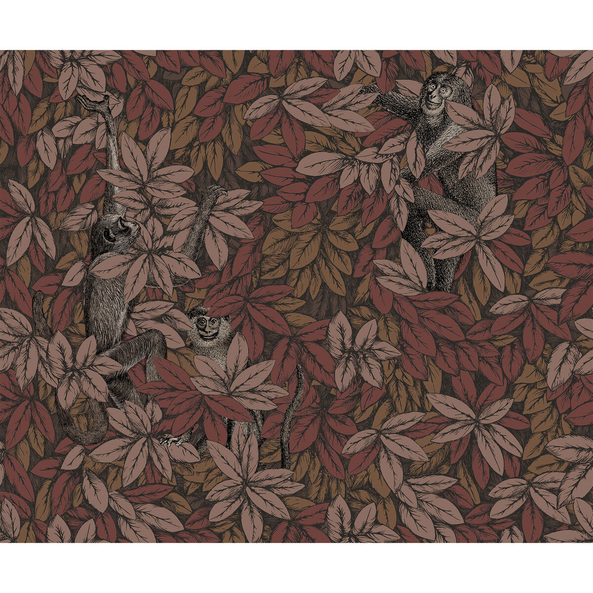 Foglie E Scimmie-Autumnal