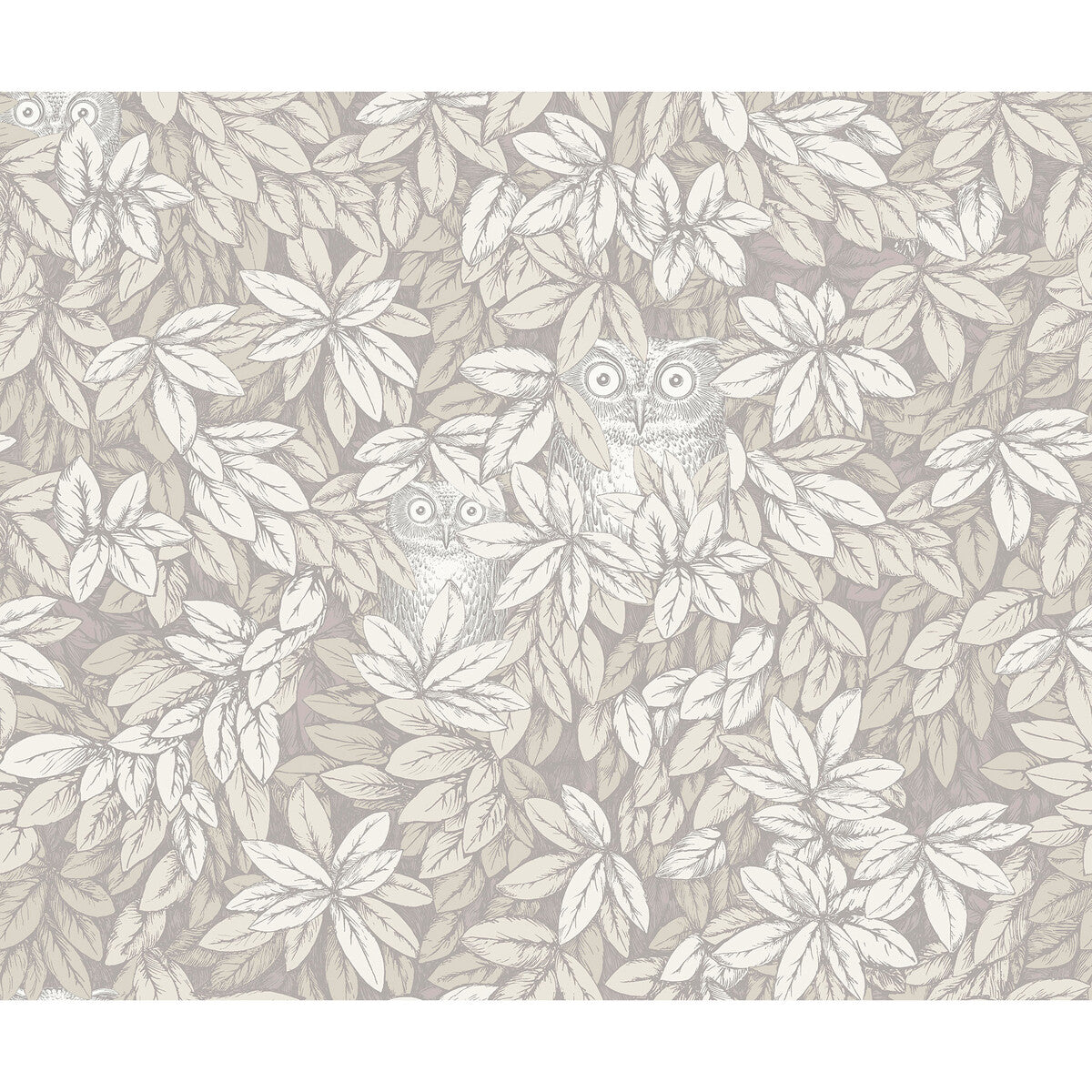 Foglie E Civette-White