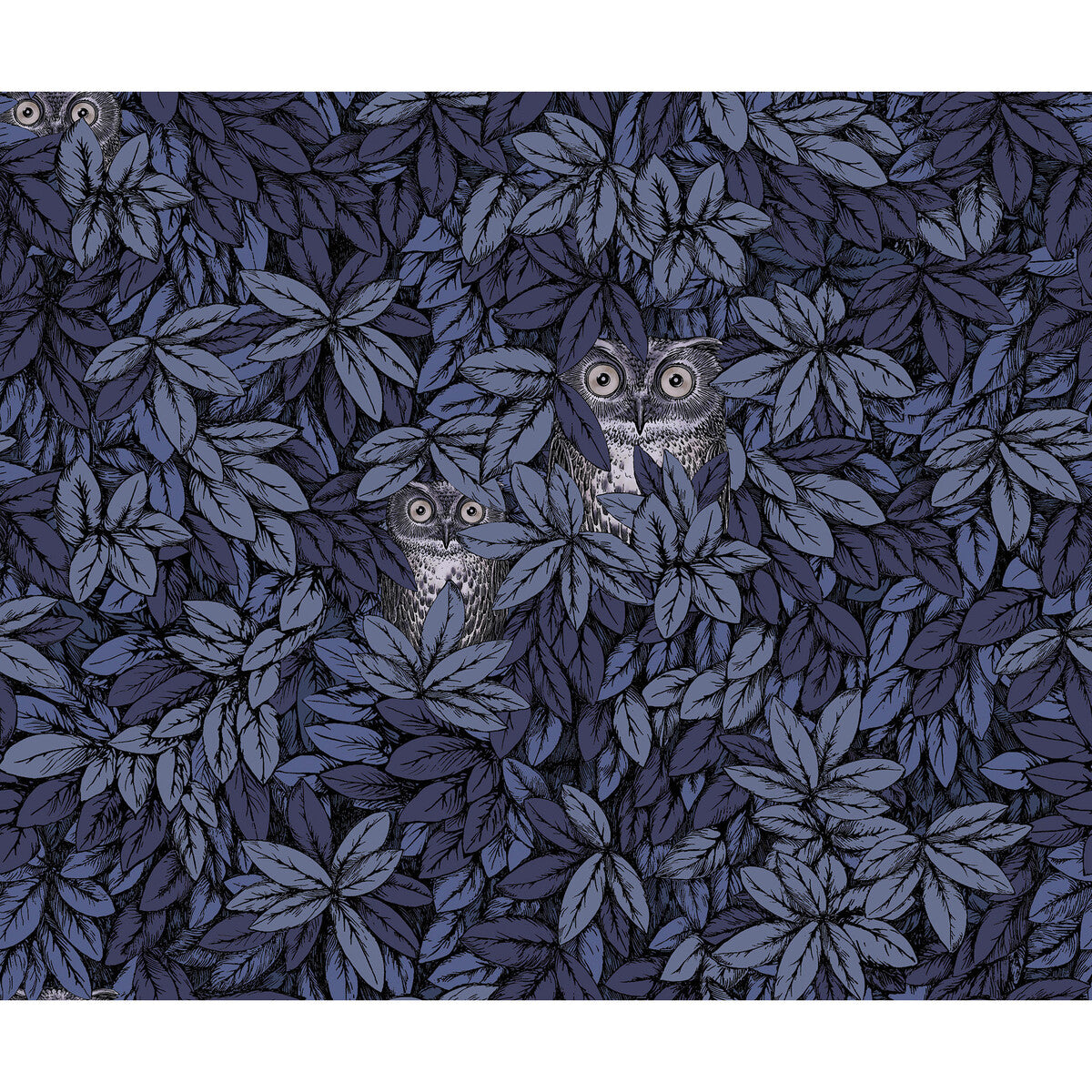 Foglie E Civette-Midnight