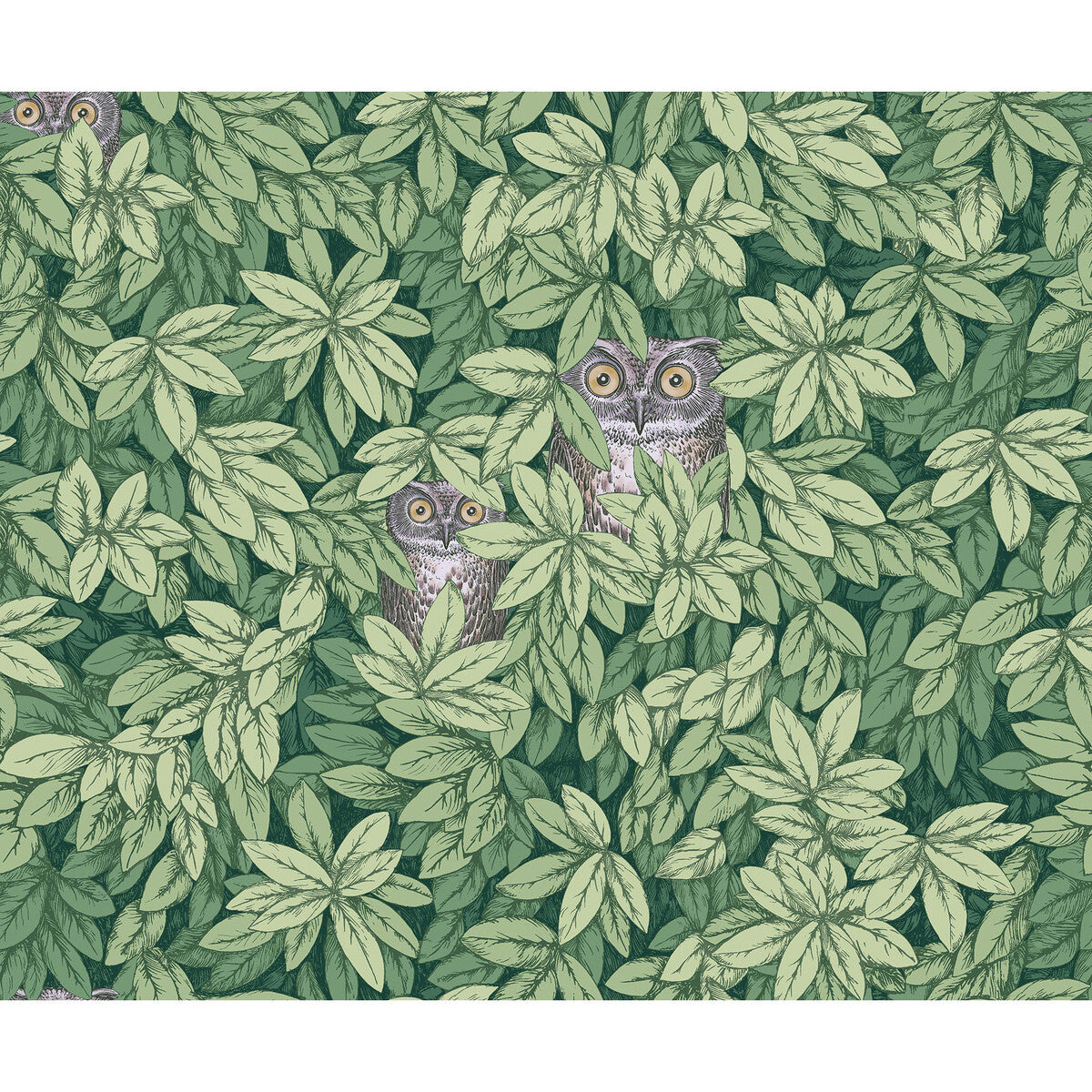Foglie E Civette-Green