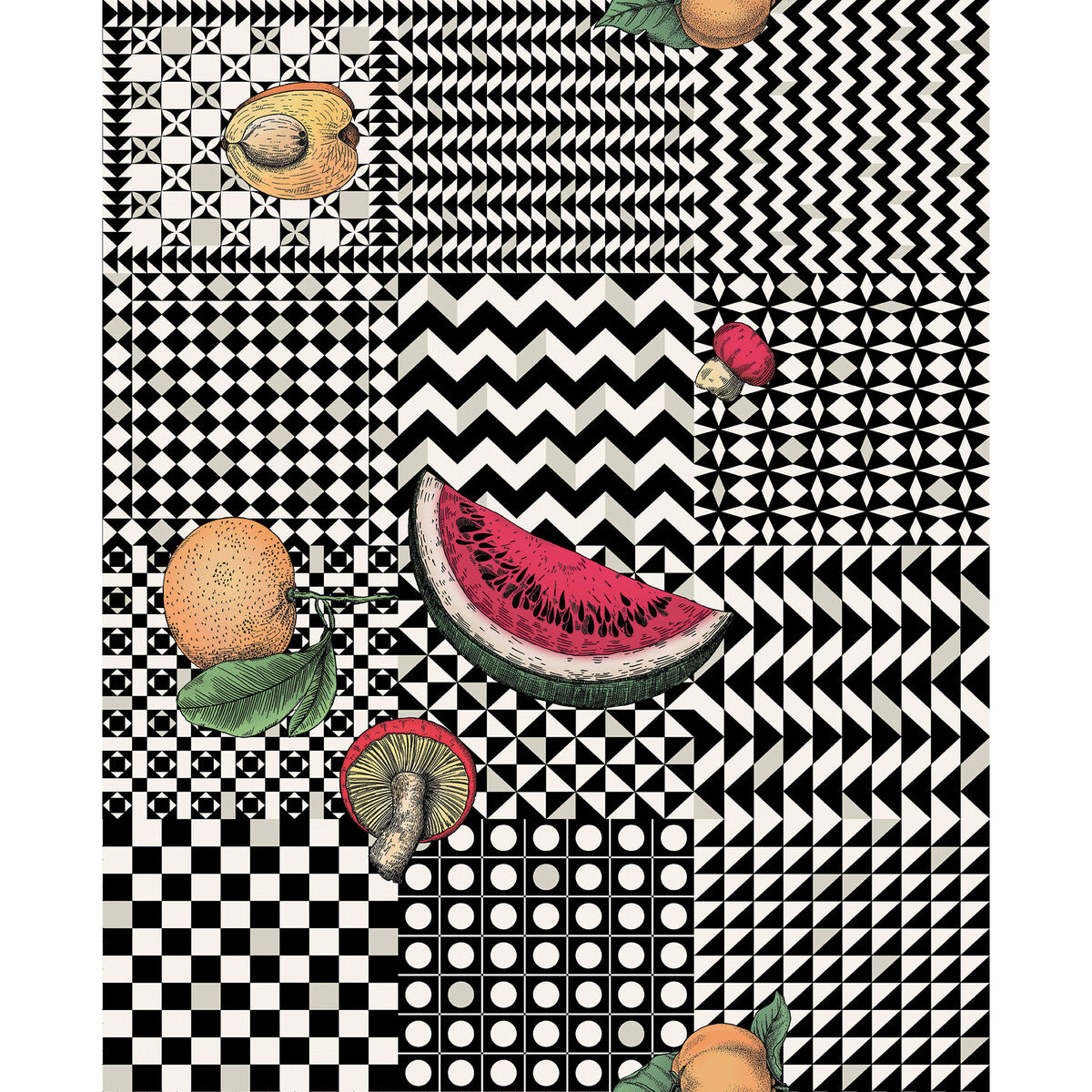 Frutta E Geometrico-Multi