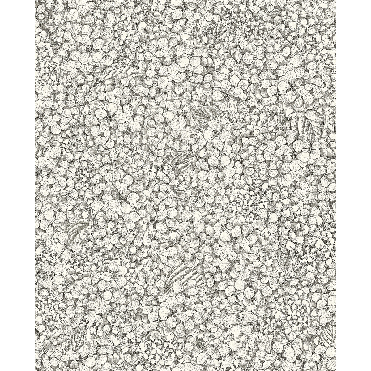 Ortensia-Black &amp; White
