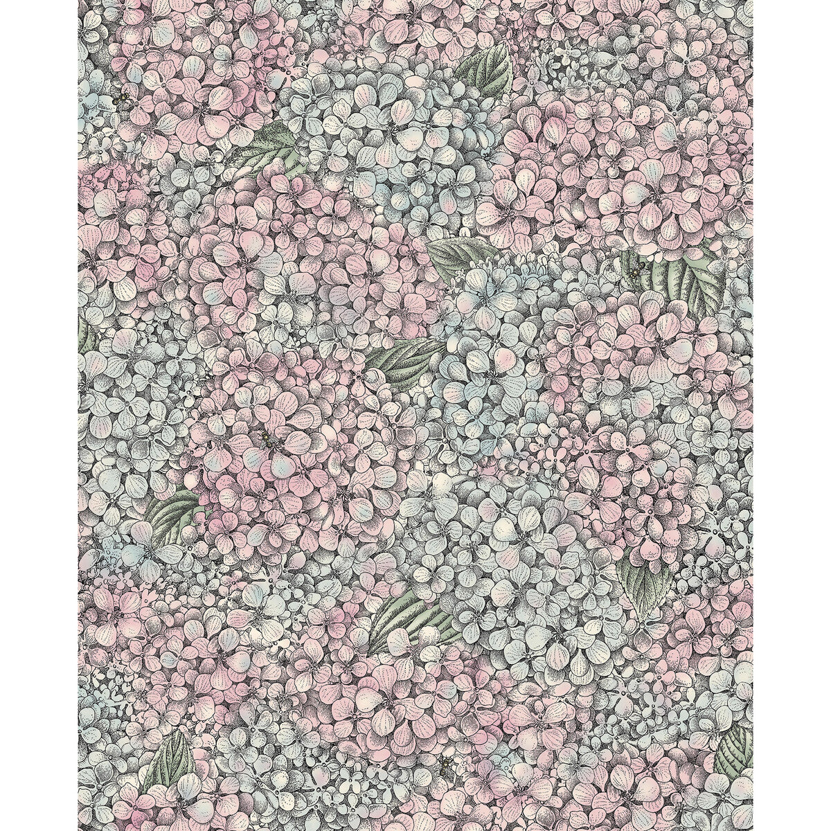 Ortensia-Pink &amp; Blue