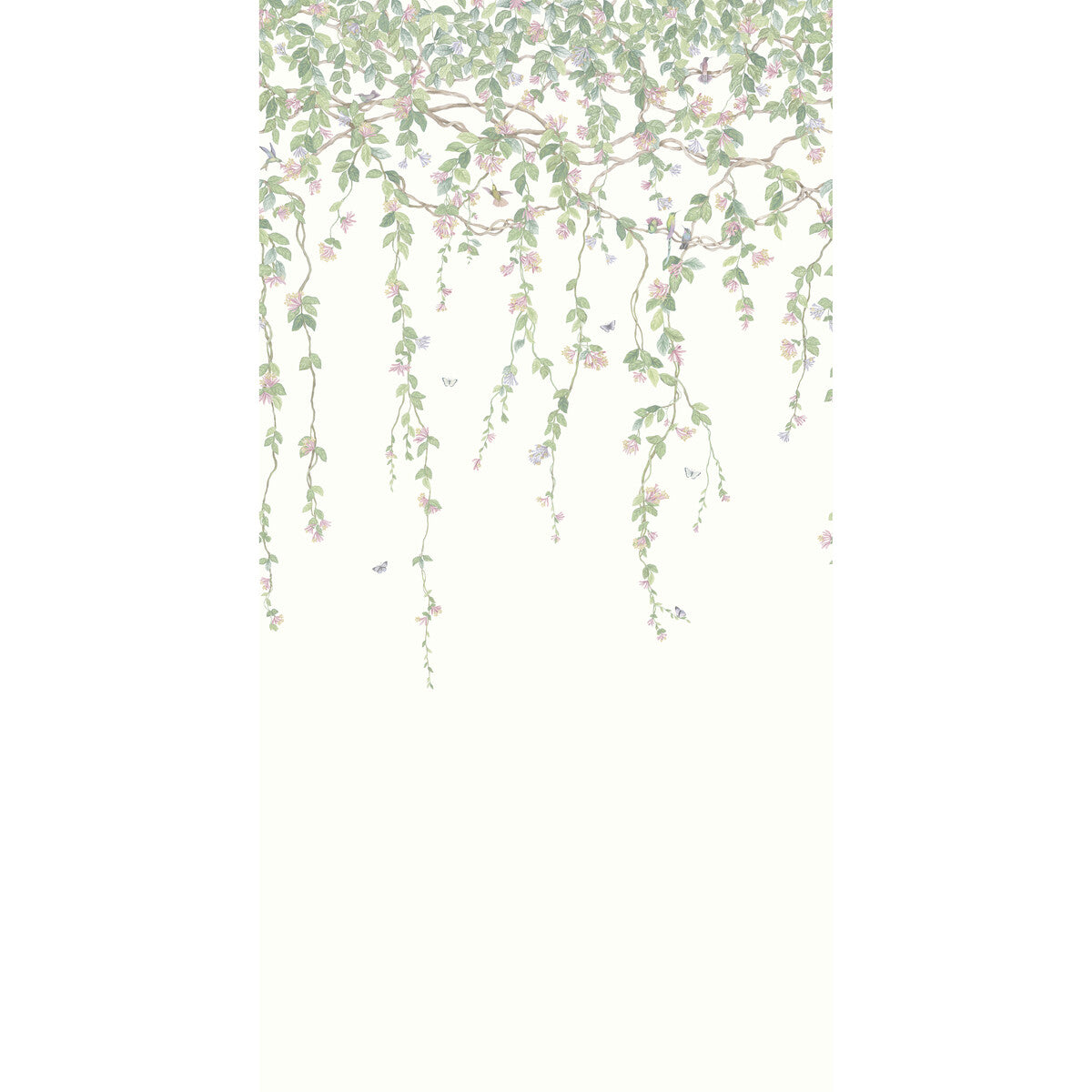 Hummingbirds Flora-Blush