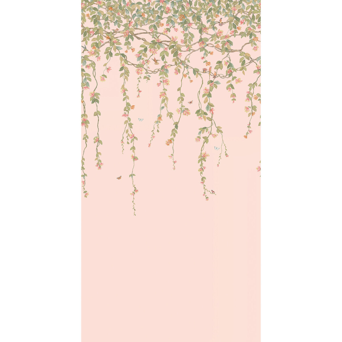 Hummingbirds Flora-Pink
