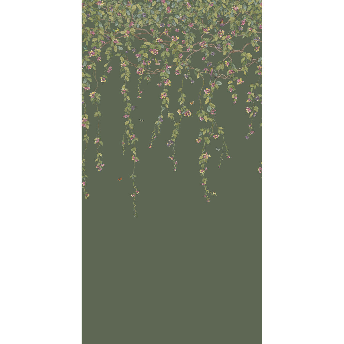 Hummingbirds Flora-Sage