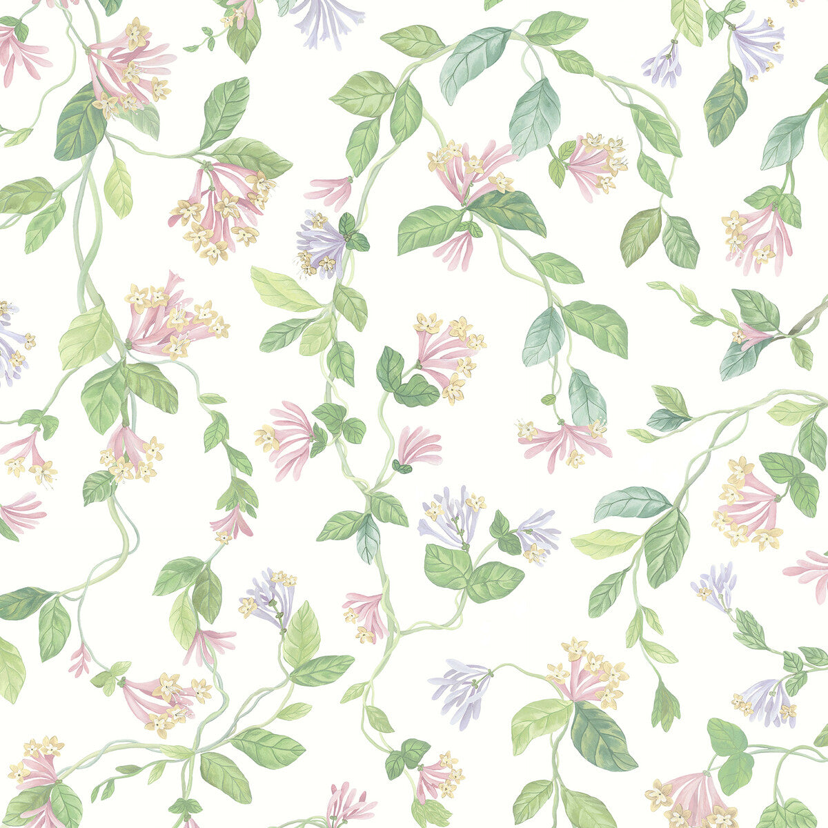 Flora-Pink/Purple