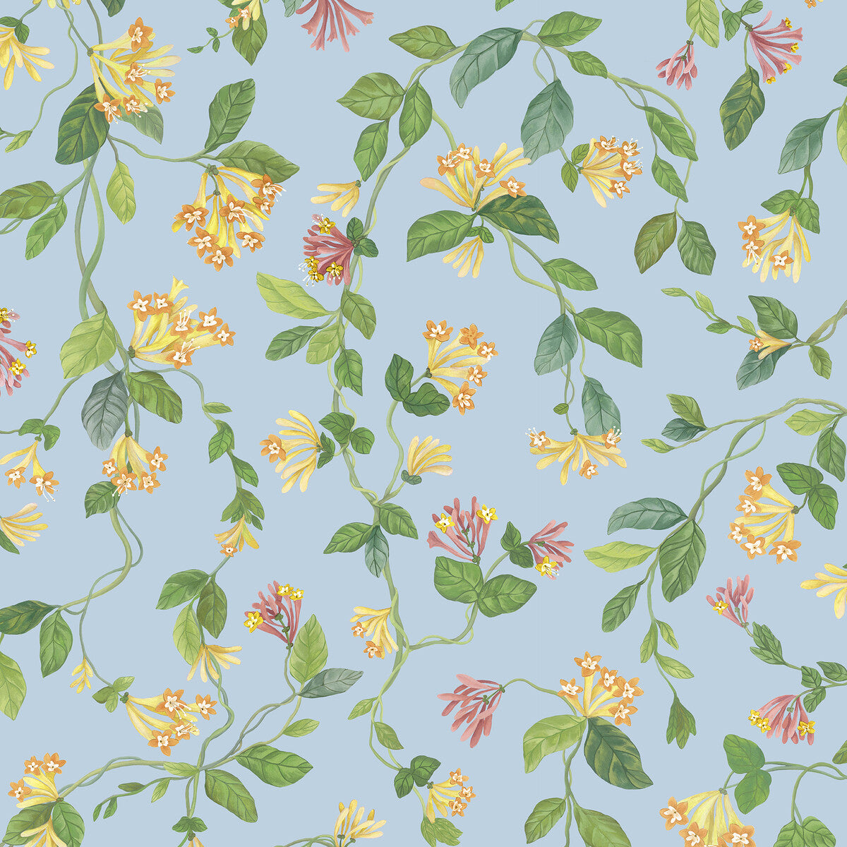 Flora-Blue/Orange